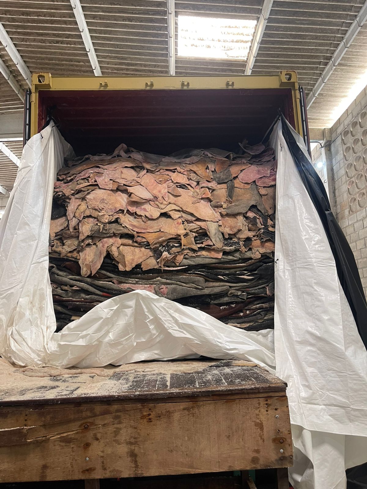 Caminhão Carregado 2